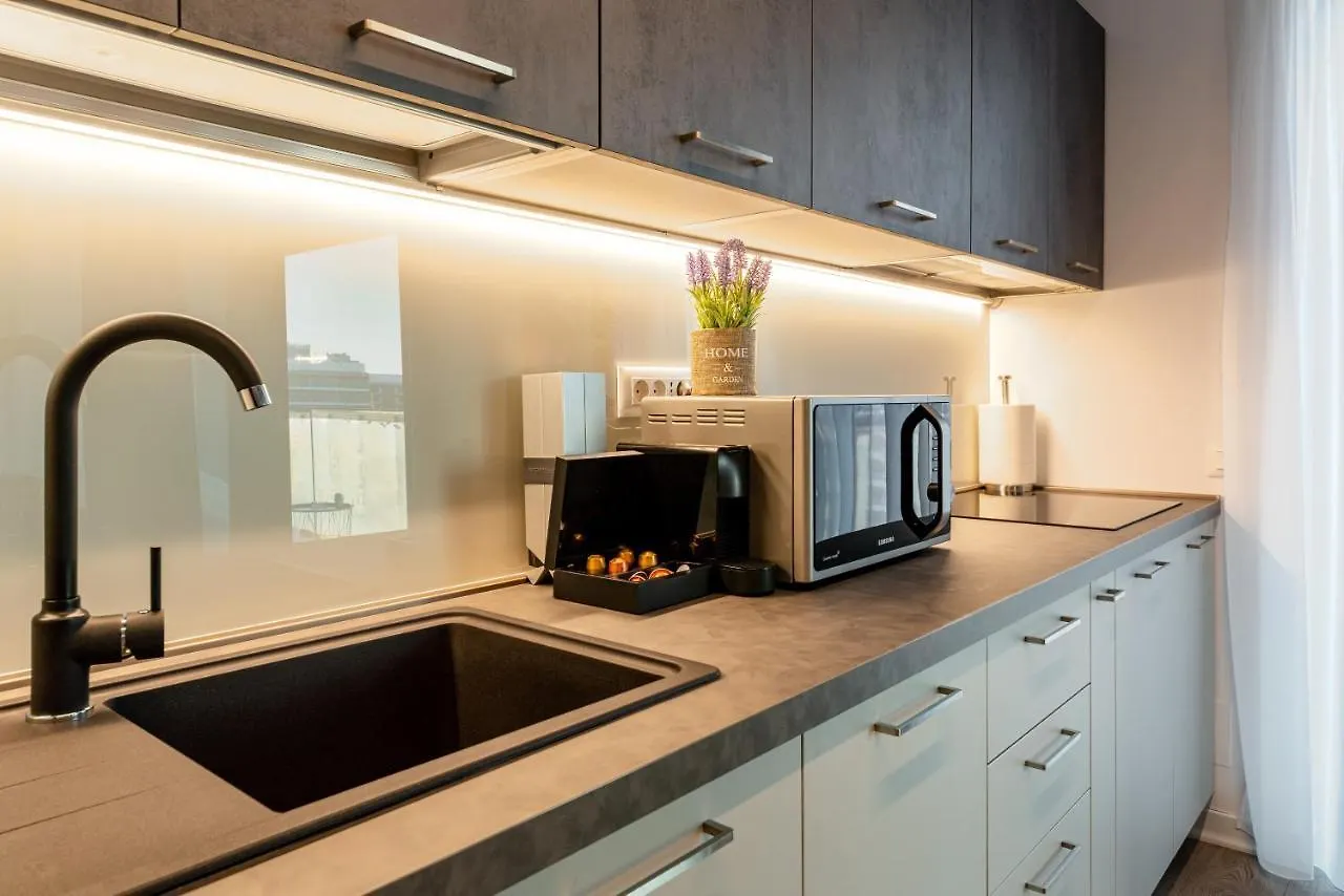 North Twin1 - Aviatiei Apartment Bucharest